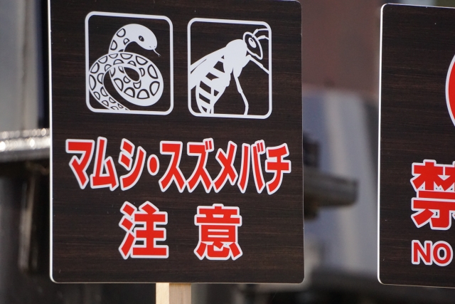秋のスズメバチが一番危険と聞いて、対策を調べてみた